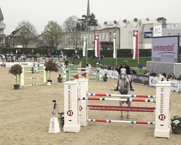 Reitturnier Amriswil 2024