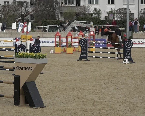 Reitturnier Amriswil 2024