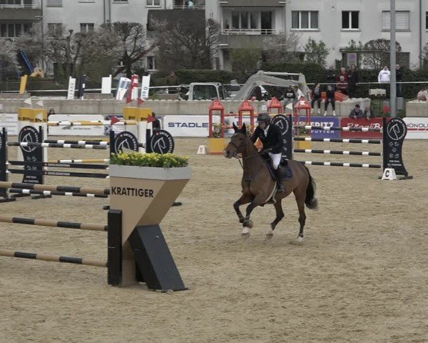 Reitturnier Amriswil 2024