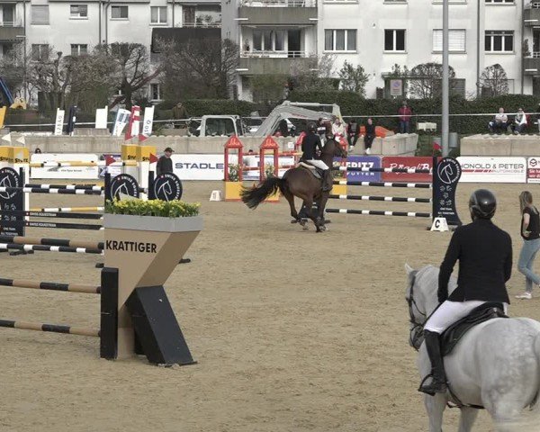 Reitturnier Amriswil 2024