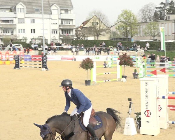 Reitturnier Amriswil 2024