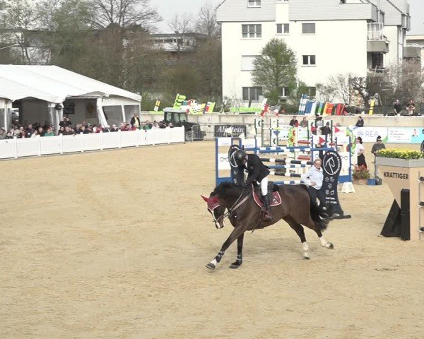 Reitturnier Amriswil 2024