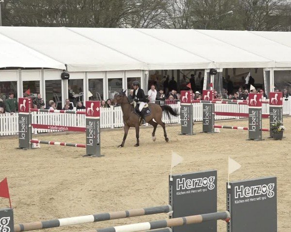 Reitturnier Amriswil 2024