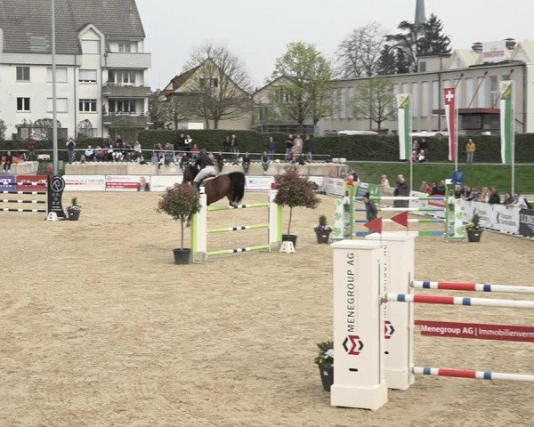 Reitturnier Amriswil 2024
