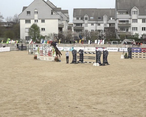 Reitturnier Amriswil 2024