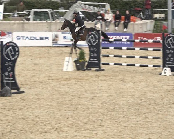 Reitturnier Amriswil 2024