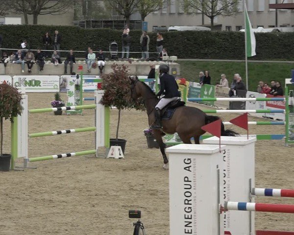 Reitturnier Amriswil 2024