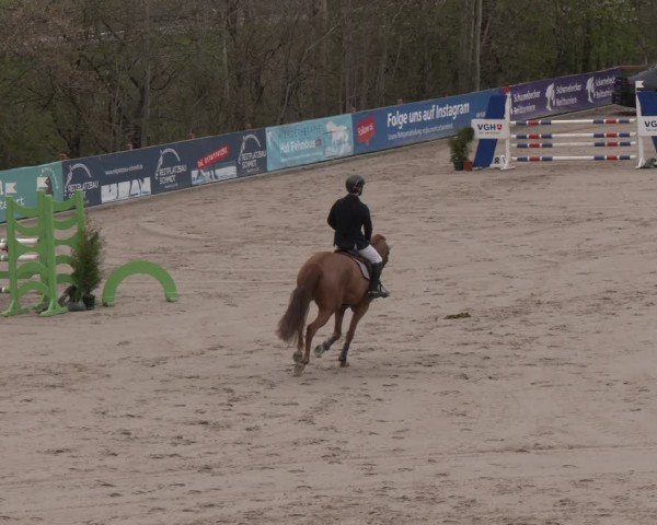 Reitturnier Scharnebeck 2024
