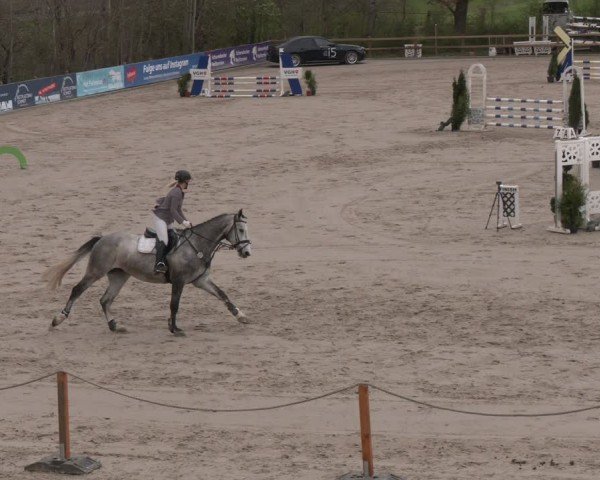 Reitturnier Scharnebeck 2024
