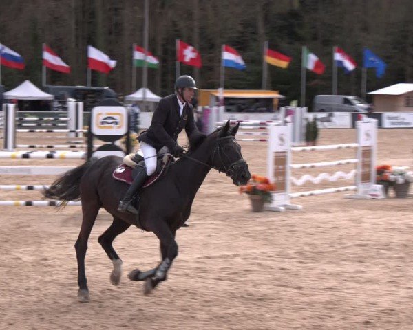 Reitturnier Ranshofen - Braunau am Inn 2024