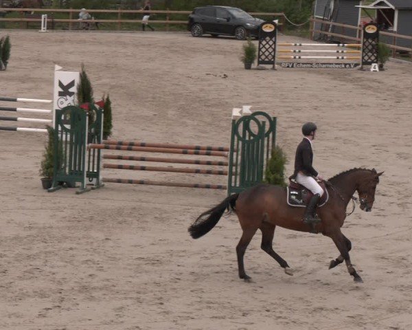 Reitturnier Scharnebeck 2024