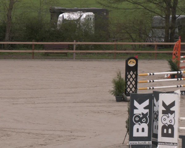 Reitturnier Scharnebeck 2024