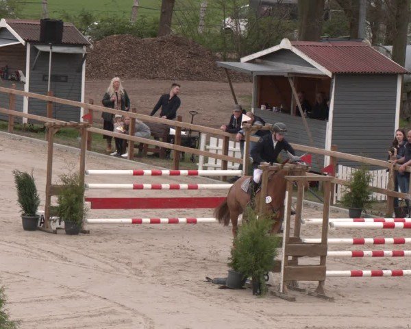 Reitturnier Scharnebeck 2024