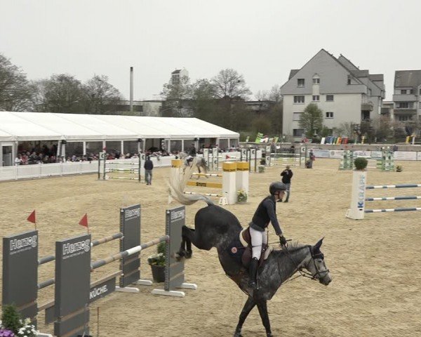 Reitturnier Amriswil 2024
