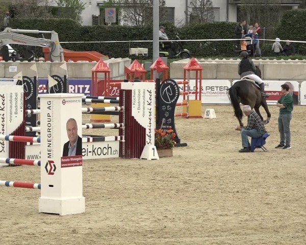 Reitturnier Amriswil 2024