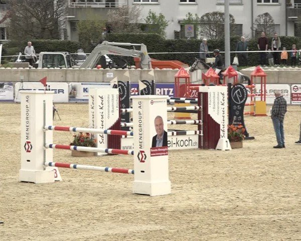 Reitturnier Amriswil 2024