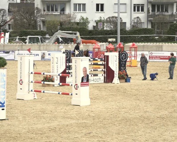 Reitturnier Amriswil 2024