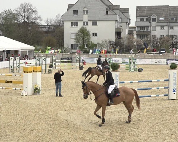 Reitturnier Amriswil 2024