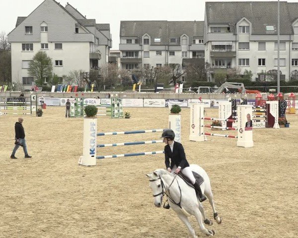 Reitturnier Amriswil 2024