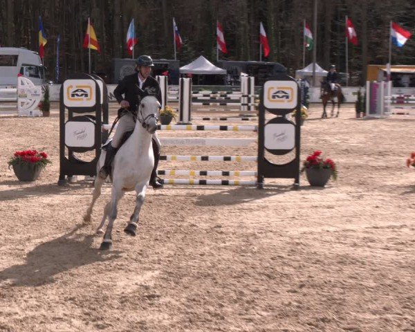 Reitturnier Ranshofen - Braunau am Inn 2024