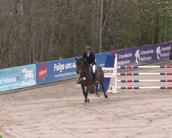 Reitturnier Scharnebeck 2024