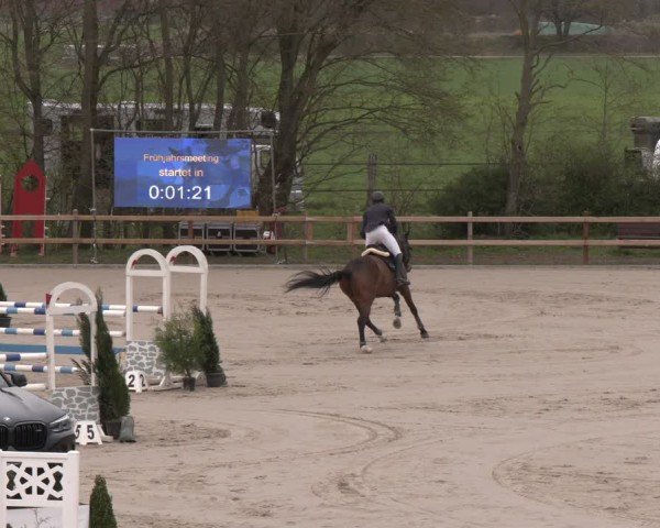 Reitturnier Scharnebeck 2024