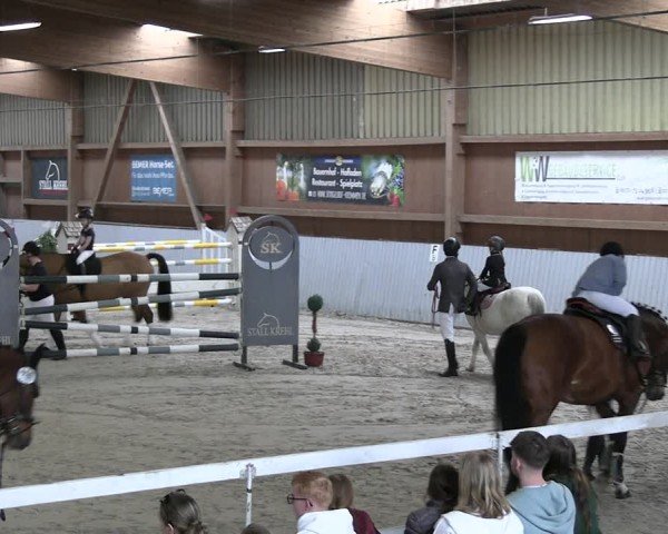 Reitturnier Lentzke - Reitanlage Krehl 2024