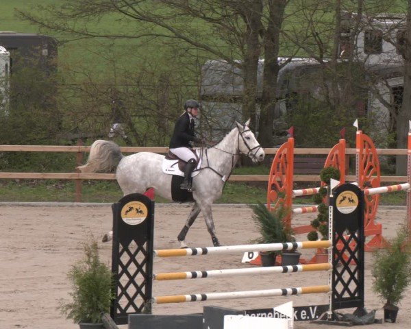Reitturnier Scharnebeck 2024