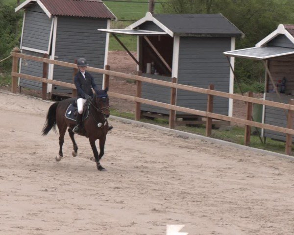 Reitturnier Scharnebeck 2024