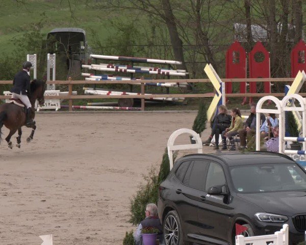 Reitturnier Scharnebeck 2024