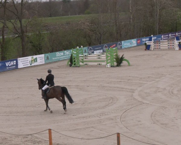 Reitturnier Scharnebeck 2024