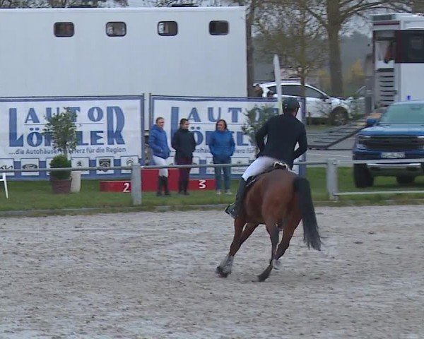Reitturnier Grafenrheinfeld/Ufr. 2024