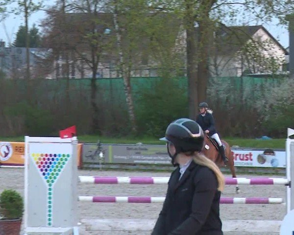 Reitturnier Grafenrheinfeld/Ufr. 2024