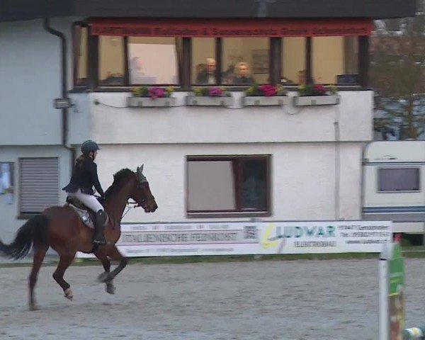 Reitturnier Grafenrheinfeld/Ufr. 2024