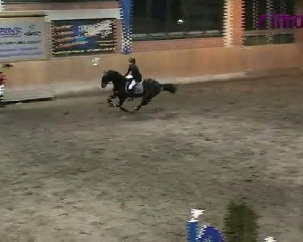 Heiden 2011