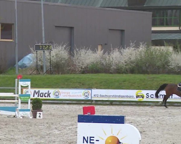 Reitturnier Grafenrheinfeld/Ufr. 2024