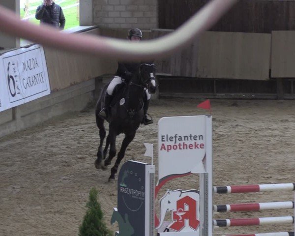 Reitturnier Oelde 2024