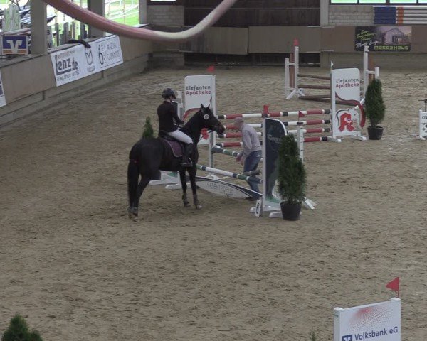 Reitturnier Oelde 2024