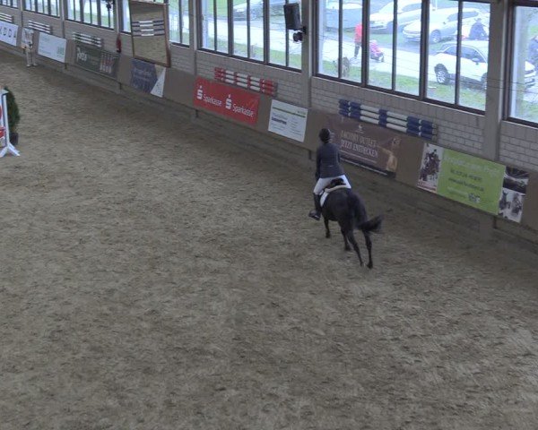 Reitturnier Oelde 2024