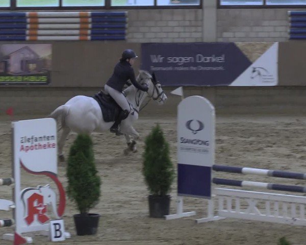 Reitturnier Oelde 2024