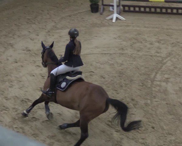 Reitturnier Oelde 2024