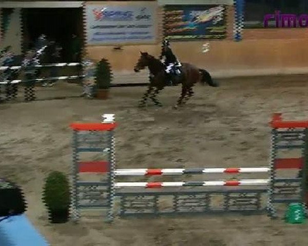 Heiden 2011