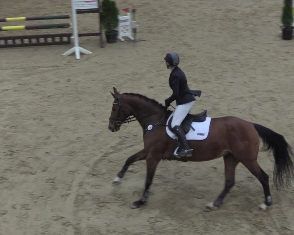 Reitturnier Oelde 2024