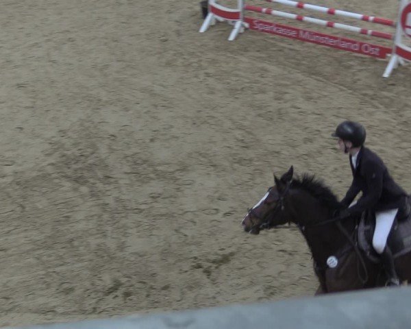 Reitturnier Oelde 2024