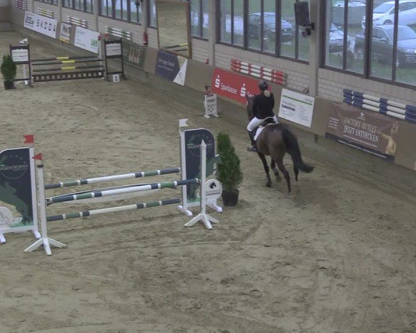 Reitturnier Oelde 2024
