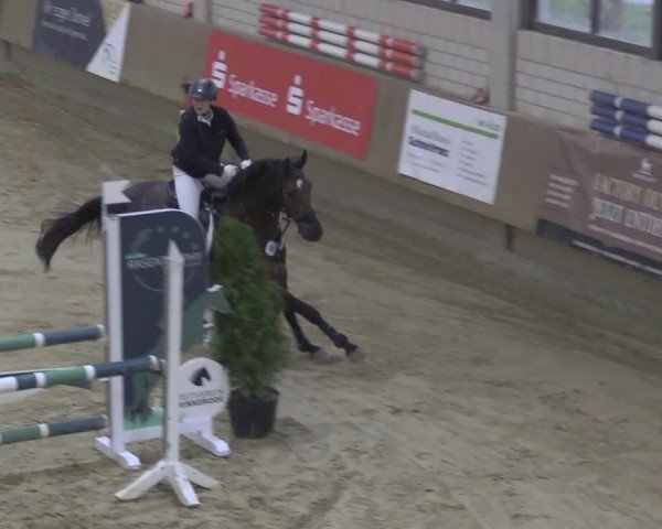 Reitturnier Oelde 2024