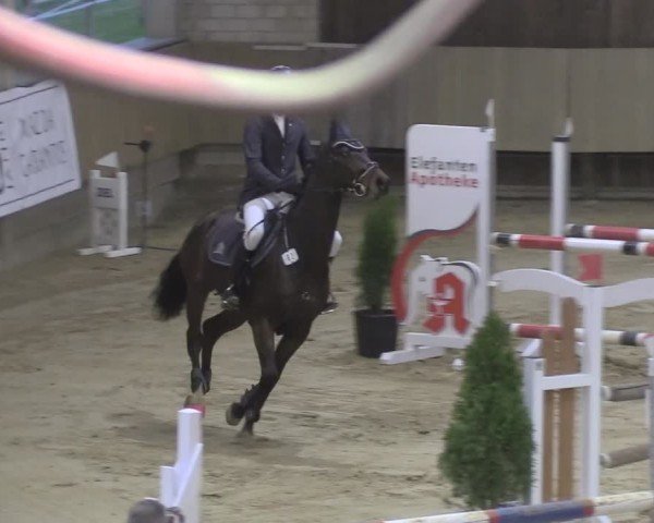 Reitturnier Oelde 2024