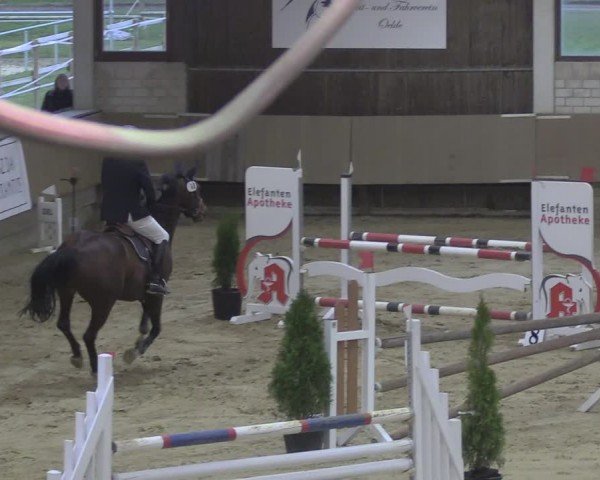 Reitturnier Oelde 2024