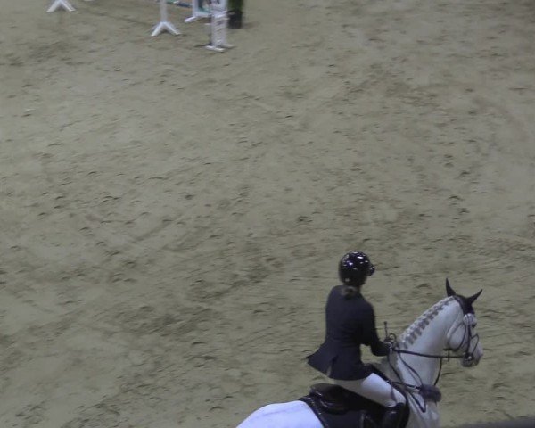 Reitturnier Oelde 2024