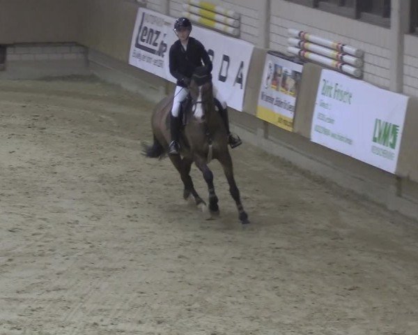 Reitturnier Oelde 2024
